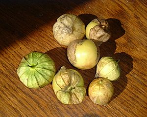 Tomatillo.jpg