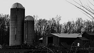 Two Silos