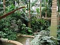 US botanic garden 2