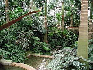 US botanic garden 2