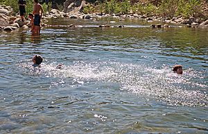 Ventura River Swimming-Hole