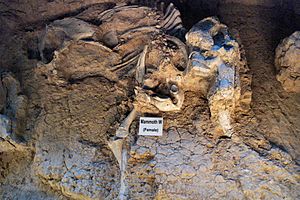 Waco mammoth site W