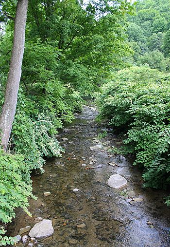 Whitelock Creek looking downstream.jpg