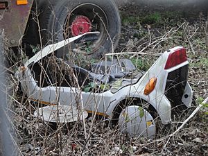 Abandoned Sinclair C5