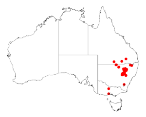 Acacia pilligaensisDistMap697.png