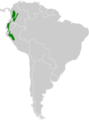 Amazilia franciae map.svg
