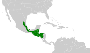 Aulacorhynchus prasinus map.svg