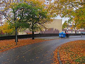 Autumn colours, Kildrum (geograph 2240972)