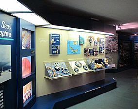 BMNSM local shells exhibit