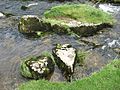 Beautiful island fallen stones, Malham