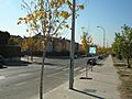 Boadilla6