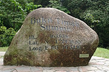 Bukit Timah.jpg