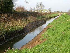 CaistorCanalDredging-Geograph-1797856-by-Kate-Nicol