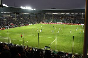 Carl-Benz-Stadion 2