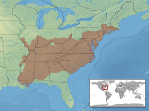 Carphophis amoenus distribution.png