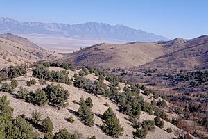 Cedar Mtn Wilderness