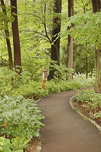 Chanticleer Gardens Asian Woods 2000px