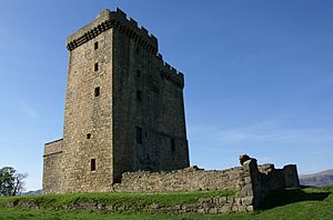 Clackmannan Tower 20080505 01