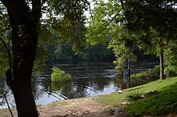 Edisto-GivhansFerrySP.jpg