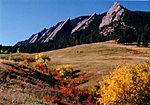 Flatirons in the Fall.jpg