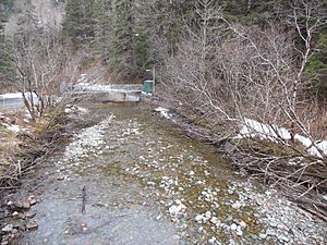 Gold Creek, Juneau