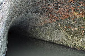 Grand Union Canal - Saddington Tunnel - geograph.org.uk - 2300178