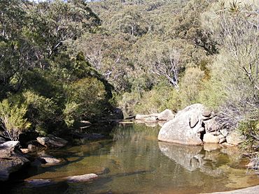 Heathcote National Park 1.jpg