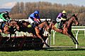 Horses jump over hurdle