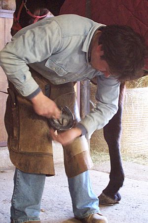 Italian farrier 2006 2