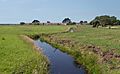 Krommeniedijk, het fort bij Krommeniedijk IMG 9884 2019-06-17 14.37