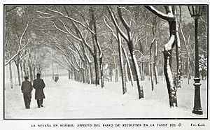 La nevada en Madrid. Aspecto del Paseo de Recoletos en la tarde del 6, de Goñi