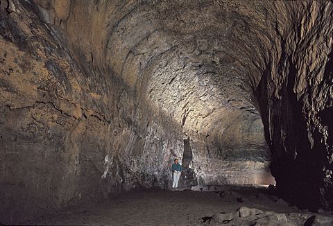 Lava river cave oregon