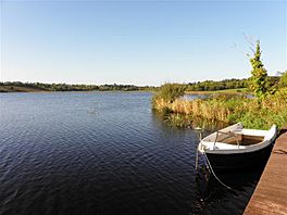 Lough Scur, Corglass.jpg