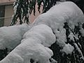 Mende in winter - 09