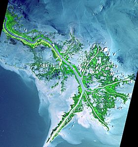 Mississippi delta from space