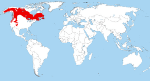 Perisoreus canadensis range.png