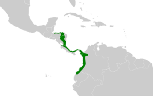 Phaenostictus mcleannani map.svg