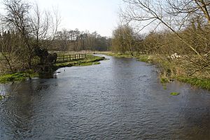 RiverChessUK