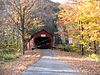 Sonestwon Covered Bridge 9.jpg