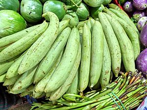 Sponge gourd of Bangladesh