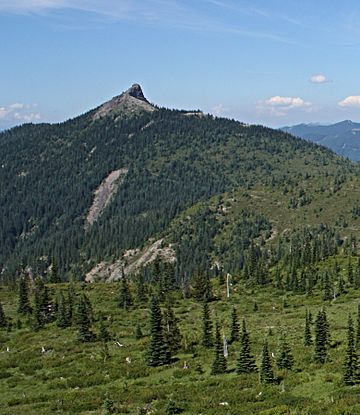 Sunrise Peak WA.jpg