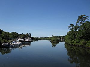 Swan River-Patchogue