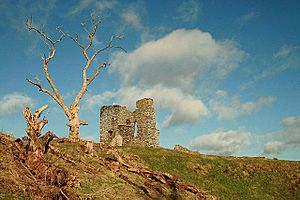 The remains of Old Thirlestane Castle - geograph.org.uk - 711519