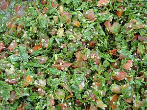 Traditional Tabbouleh