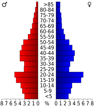 USA Pierce County, Wisconsin age pyramid