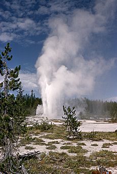 Union Geyser-Beal1955