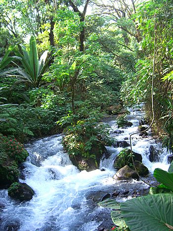 Uruapan-National-Park-River.jpg