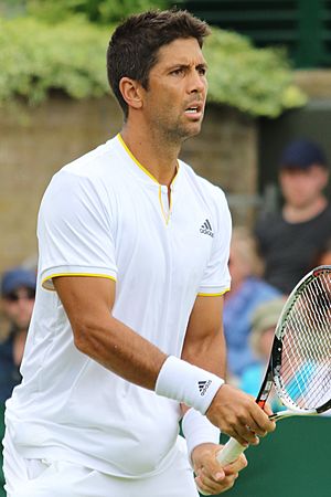 Verdasco WM17 (6) (35379200083)