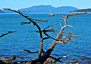 View from Washington Park, Anacortes, WA