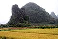 Yangshuo-Landpartie-92-Reisfeld-Berge-2012-gje